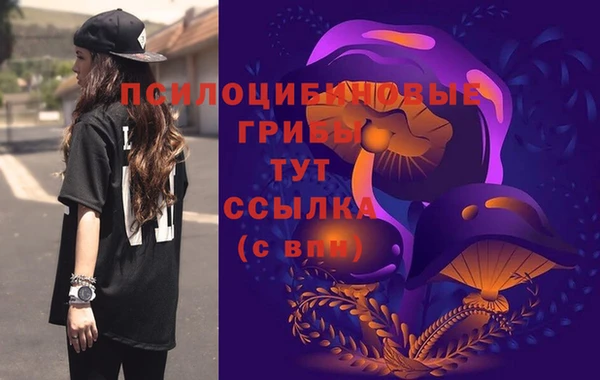 бошки Армянск