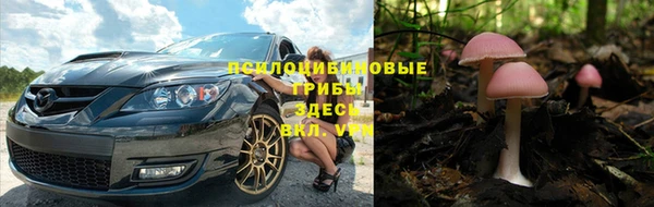 прущие грибы Арсеньев