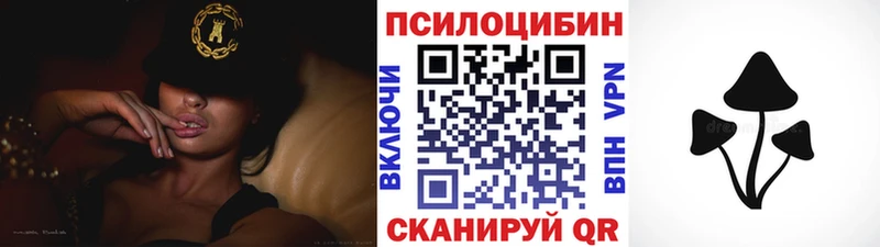 Галлюциногенные грибы MAGIC MUSHROOMS  Стародуб 